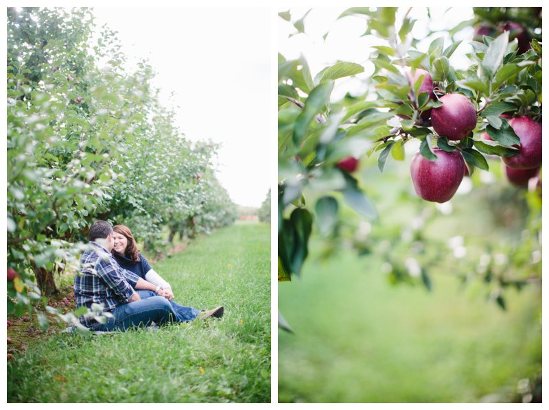 apple orchard engagement 2